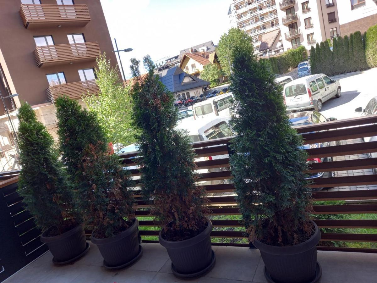Apartman Oaza Kalman Spa-Gym Zlatibor Esterno foto